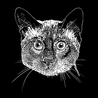LA Pop Art Siamese Cat - Women's Word Hooded Sweatshirt