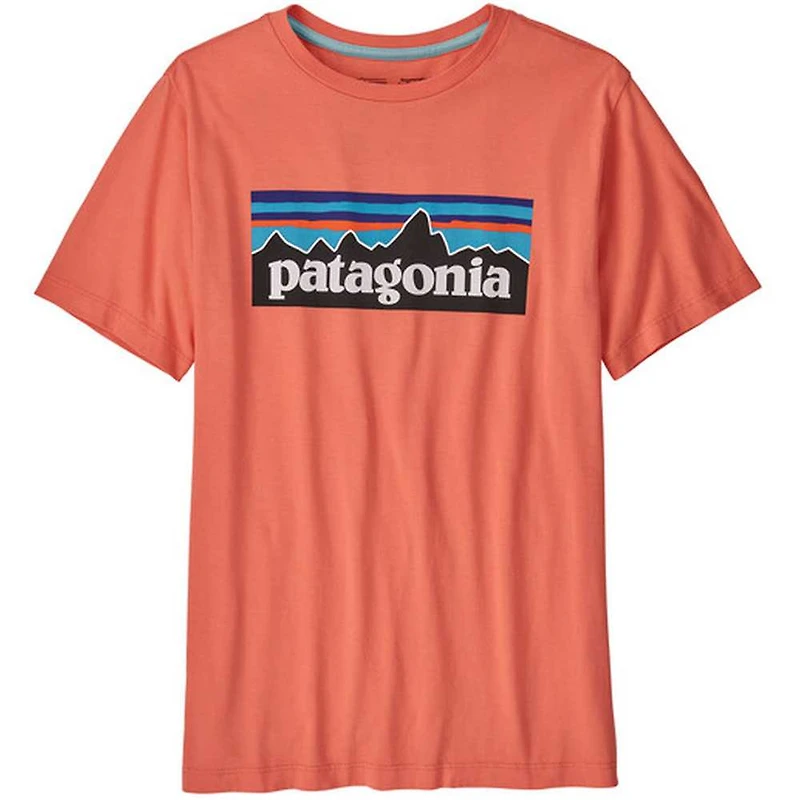 Patagonia Boys' Regenerative Organic Certification Cotton P-6 Logo T-Shirt