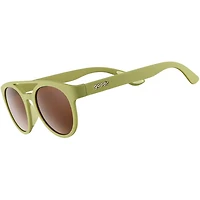 Fossil Finding Focals