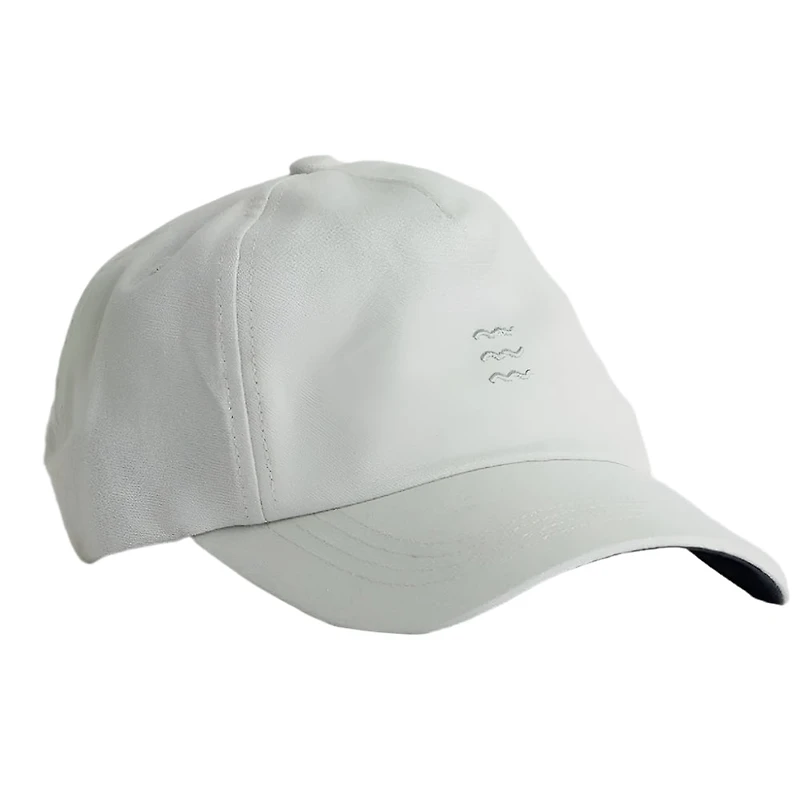 Free Fly Icon Cap