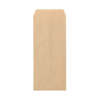 Kraft Paper Mailing Envelope - B5