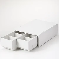 Polypropylene Storage Case 2 Drawer White Grey - Shallow (W26 x D37 x H12 cm)