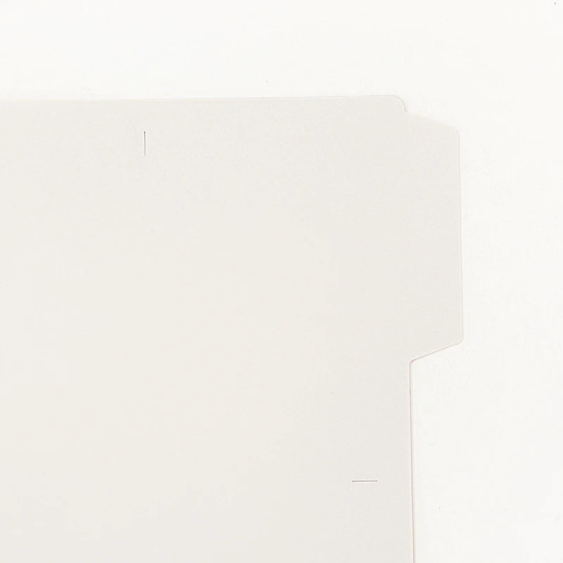 Expanded Polypropylene File Folder A4