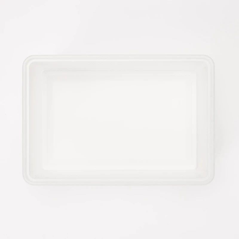 Polypropylene Storage Box Medium