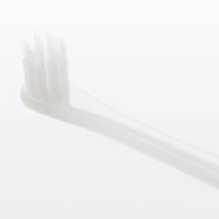 Replaceable Head Compact Medium Toothbrush