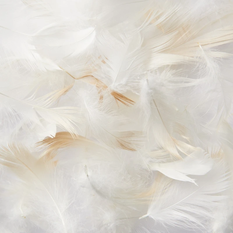 Dust-mite Resistant Feather Cushion
