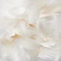 Dust-mite Resistant Feather Cushion