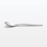 Stainless Steel Ice Cream Spoon