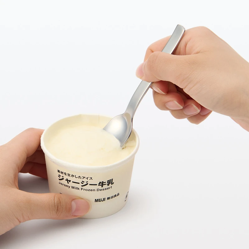 Stainless Steel Ice Cream Spoon