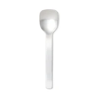 Stainless Steel Ice Cream Spoon
