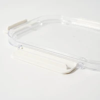 Clear Storage Container