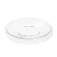 Soda Glass Plate - Small