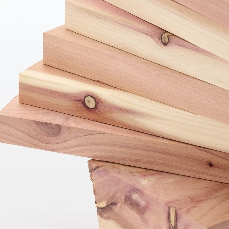 Remnant Red Cedar Wood Tree - Large