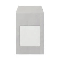 Paper Window Gift Bag - Square