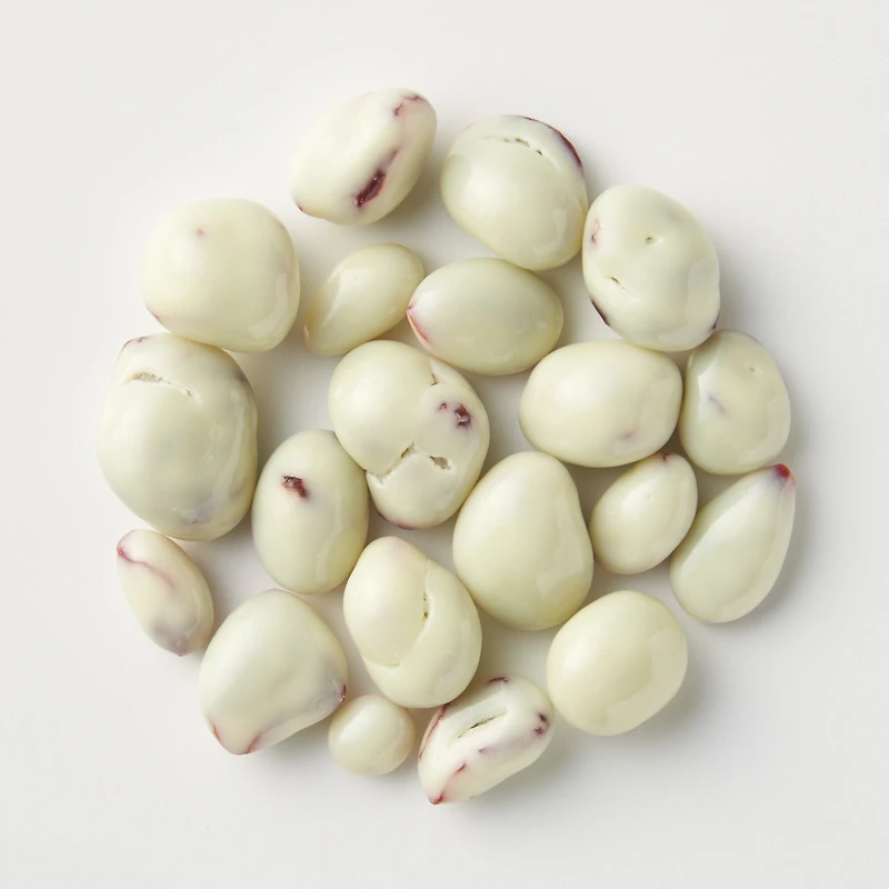 Yogurt Chocolate Covered Cranberries