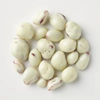 Yogurt Chocolate Covered Cranberries