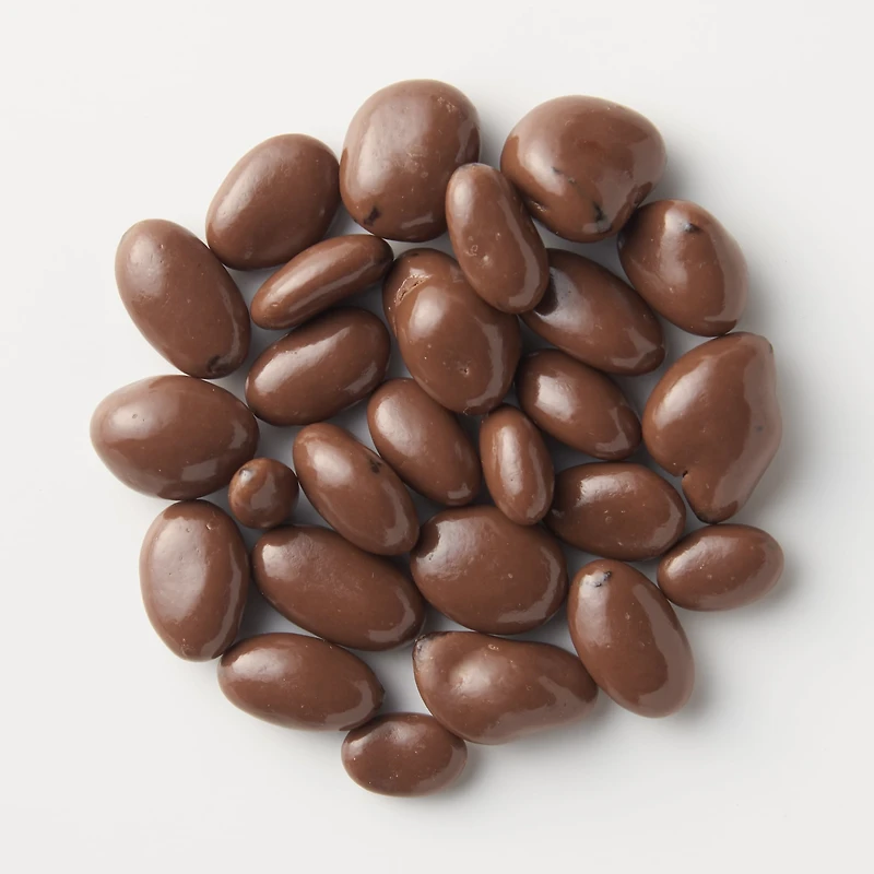 Chocolate Covered Raisins