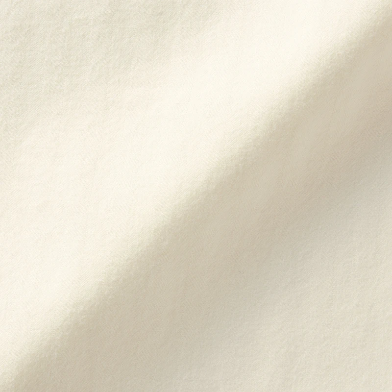 Labo Men's Brushed Cotton Twill Regular Collar Shirt