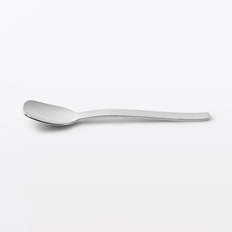 Stainless Steel Ice Cream Spoon