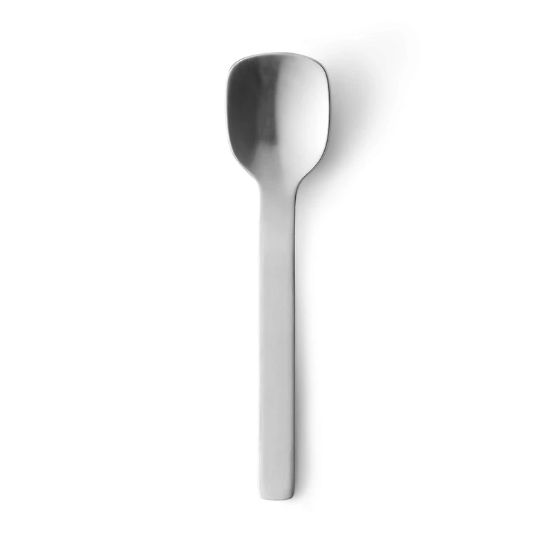 Stainless Steel Ice Cream Spoon