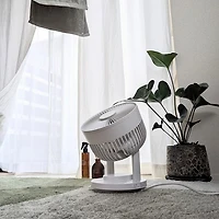 Oscillating Circulator Fan