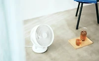 Oscillating Circulator Fan