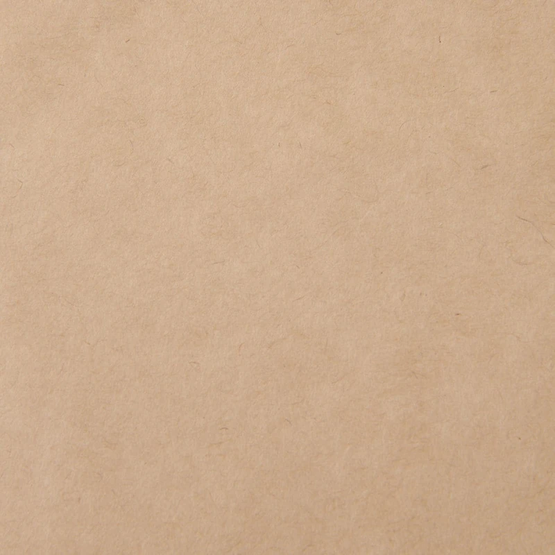 Kraft Paper Mailing Envelope