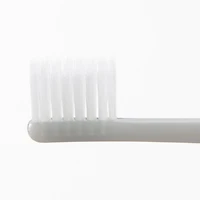 Polypropylene Toothbrush
