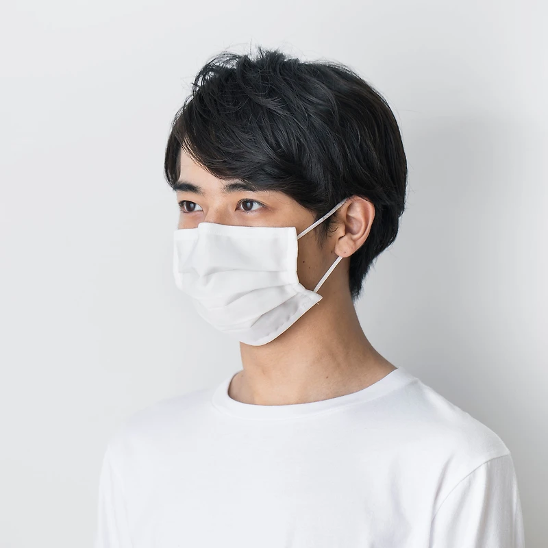 2 Pack 3 Layer Mask