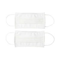 2 Pack 3 Layer Mask