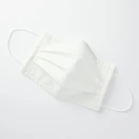 2 Pack 3 Layer Mask