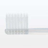 Polypropylene Toothbrush 4 Colours Set