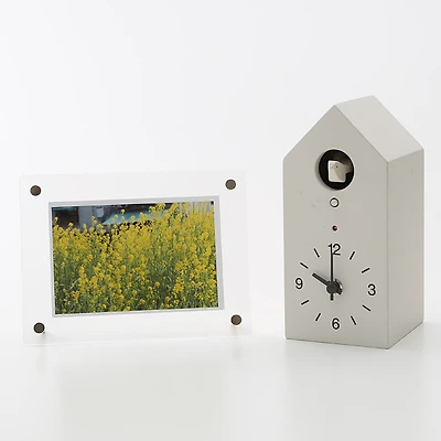 Acrylic Frame