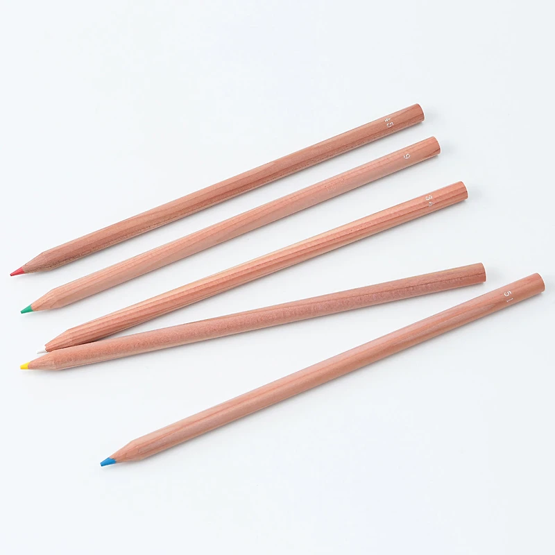 Coloured Pencils With Paper Tube (36 Piece Set)