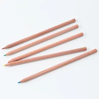 Coloured Pencils With Paper Tube (36 Piece Set)