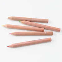 Coloured Pencils With Paper Tube (36 Piece Set)