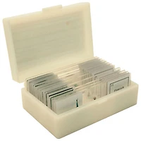 Walter Products Pollen & Spores Prepared Slides - Set of 12