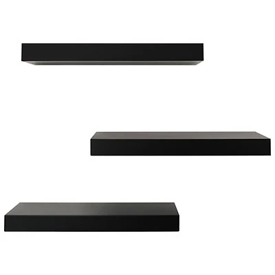 Maine 16" 3-Piece Wall Shelf - Black
