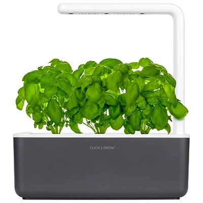 Click and Grow Smart Indoor Garden (SGS8US) - with Basil Seed Capsule Refill - 3 Pack - Dark Grey