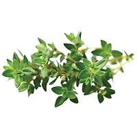 Click & Grow Thyme Seed Capsule Refill - 3 Pack