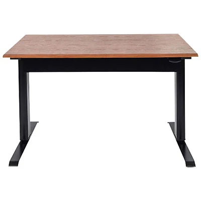 Luxor 48"W Pneumatic Adjustable-Height Standing Desk