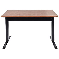 Luxor 48"W Pneumatic Adjustable-Height Standing Desk