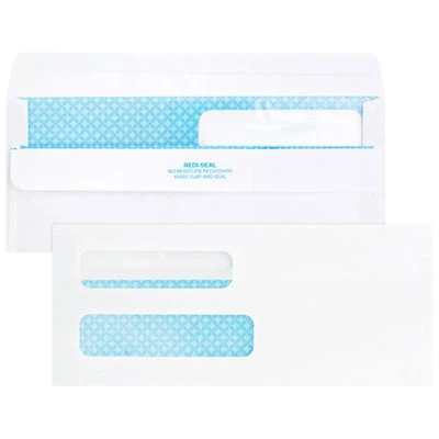 Business Source 8 5/8" x 3 5/8" Double Window Check Envelopes - 500 / Box - White