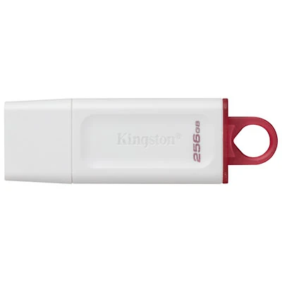 Kingston DataTraveler Exodia 256GB USB 3.2 Flash Drive