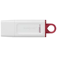 Kingston DataTraveler Exodia 256GB USB 3.2 Flash Drive