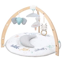 Aden + Anais Baby Play Activity Gym Mat