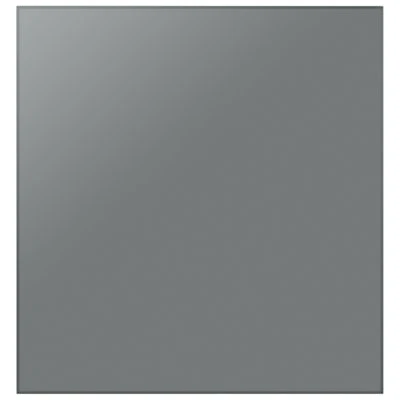 Samsung BESPOKE Dishwasher Door Panel - Satin Grey