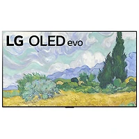 Open Box - LG 65" 4K UHD HDR OLED webOS Smart TV (OLED65G1PUA) - 2021