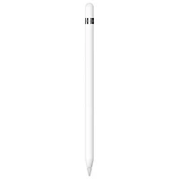 Apple Pencil (1st Generation) with USB-C Adapter for iPad - White