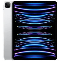 Apple iPad Pro 12.9" 2TB with Wi-Fi (6th Generation) - Silver